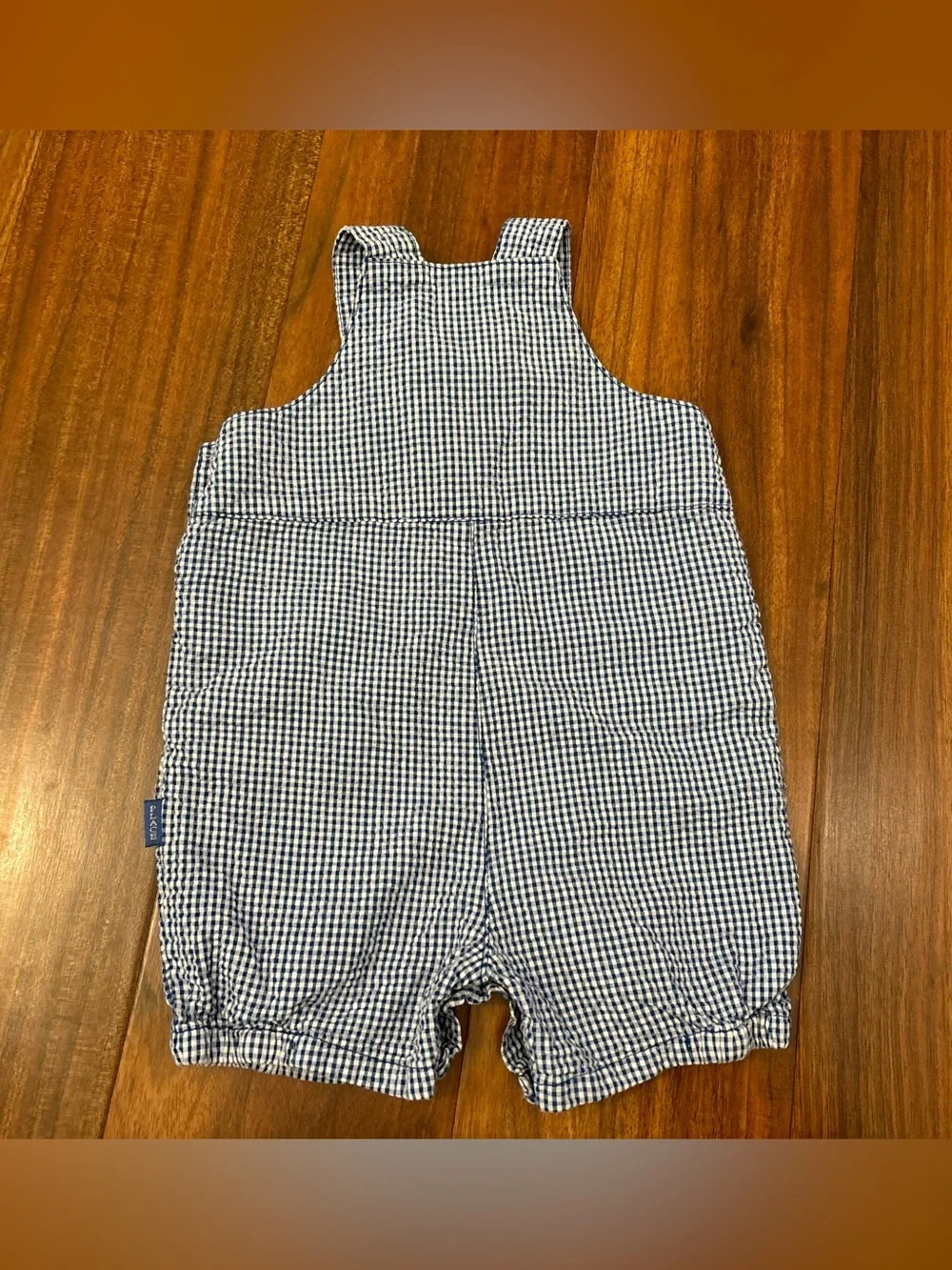 The Children’s Place blue/white plaid seersucker y2k surfer tiger overalls